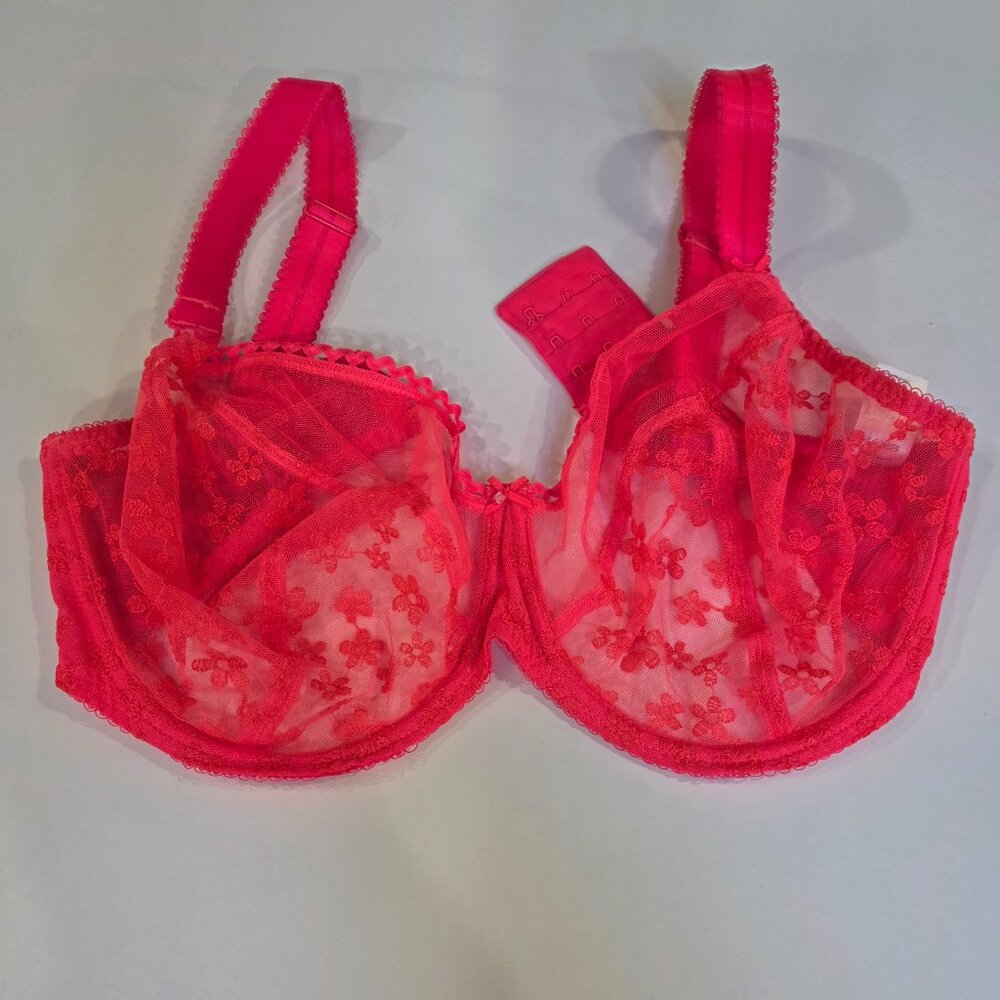 Freya & Elomi Lace Bra Lot | 36H–36I - Picture 2 of 16
